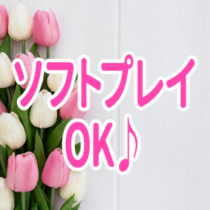 ソフトプレイでOK♪
