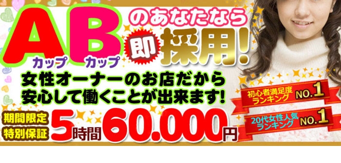 貧乳パラダイス