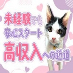 未経験でも安心のソフトサービス‼