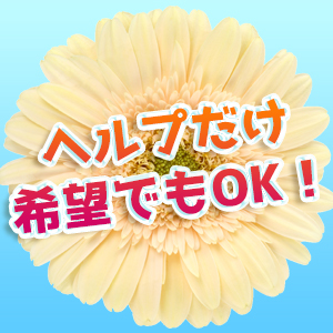 ヘルプ採用あり！