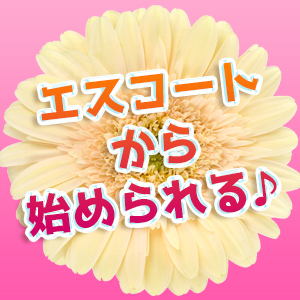 エスコトートから始めることもできる♪