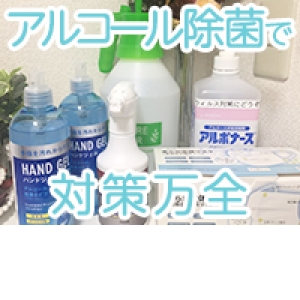 事務所全体除菌済み♪