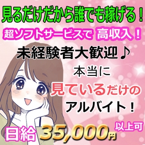 見学レディーだから誰でも稼げる！