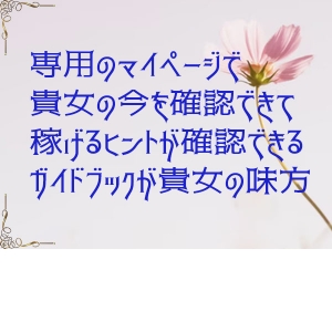 貴女の実績をマイページで正当評価