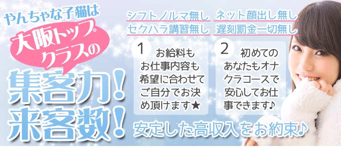 やんちゃな子猫　日本橋