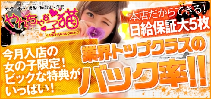 やんちゃな子猫 十三店