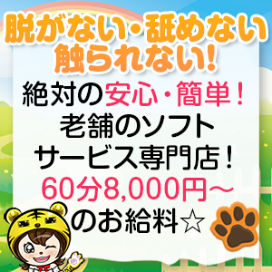 病気の心配は一切不要です☆
