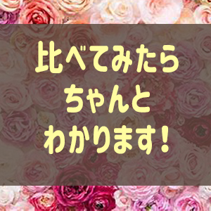 比べてみたらちゃんとわかります！