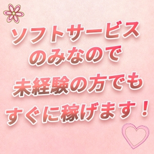 『本当に』完全なソフトサービス店です！