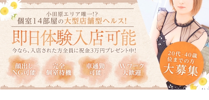 セクシーキャット 小田原店