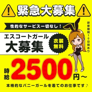 時給2500円！エスコートバニーガール募集！