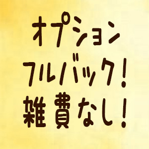 オプションフルバック・雑費なし