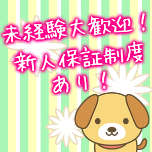 新人保証制度で未経験からでも安心！