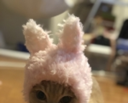 ジュエリーボックス