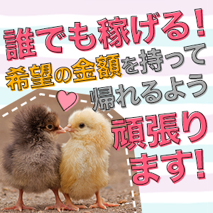 いくら稼ぎたいかお聞かせ下さい