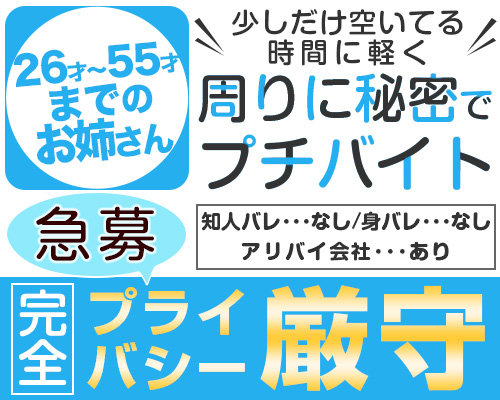 人妻レディプレイス