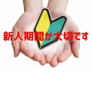 トップレスになるなどのオプションありません。