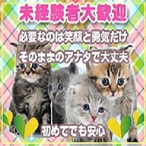 未経験者でも安心のソフトサービス☆