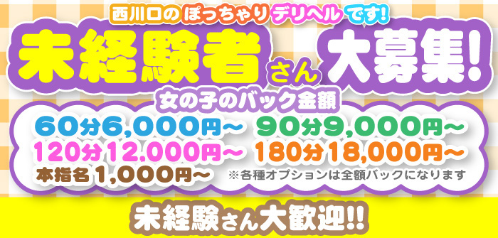 ぽちゃメイド 