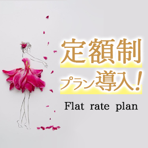 独自の新保証プラン｢定額制プラン｣