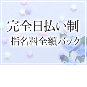 完全日払い制