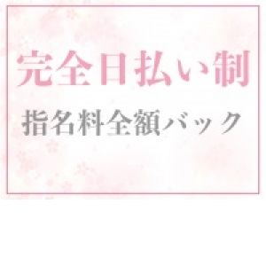 完全日払