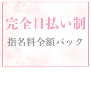 完全日払い制