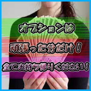 オプションは全てフルバック！