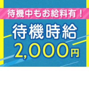 稼げるか不安？心配いりません！