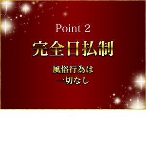 完全日払い制
