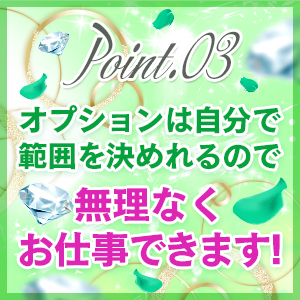 選べるオプション