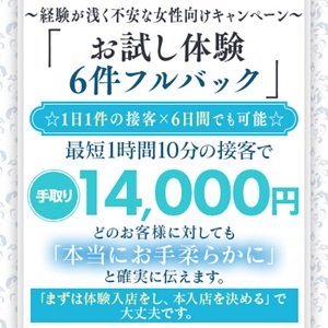 未経験の方が安心してスタートできるプラン