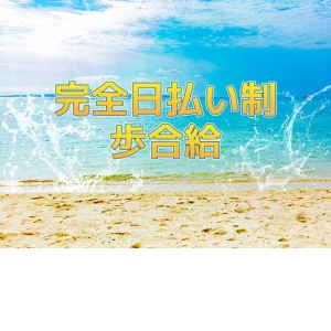 完全日払い制