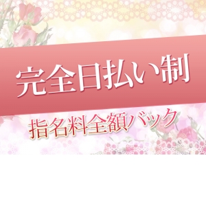 完全日払い制