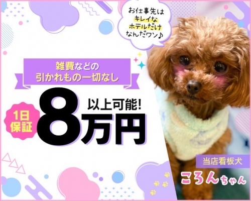 エロエロ星人 豊橋店
