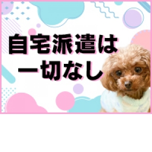 自宅派遣は絶対に無し！