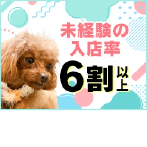万全のサポート体制で安心♪