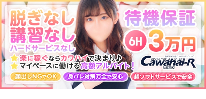 Cawaiiハイ！スクールリターンズ秋葉原校