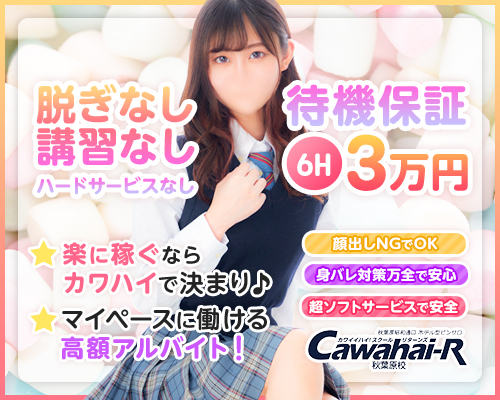 Cawaiiハイ！スクールリターンズ秋葉原校