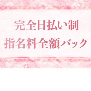 完全日払い制