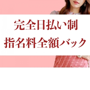 完全日払い制