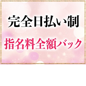 完全日払い制