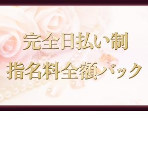 完全日払い制
