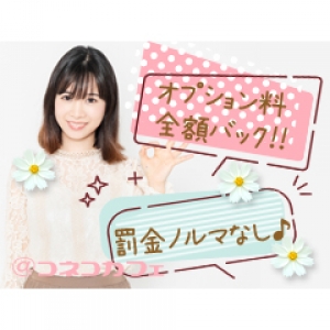 オプション料全額バック！