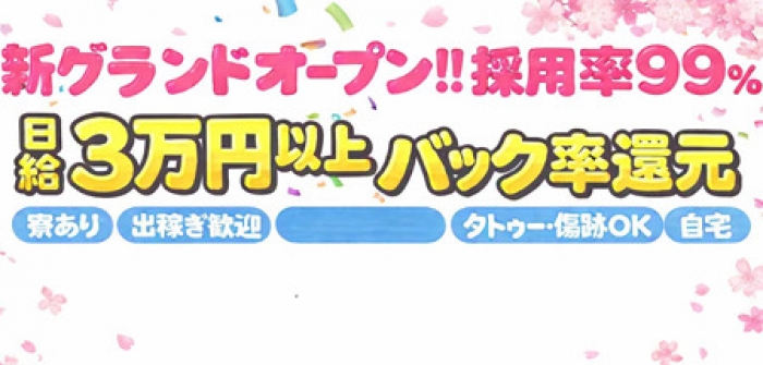 Dinoe　OLナイトセレクション
