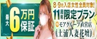  土浦人妻花壇