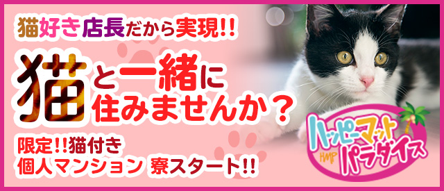 土浦ハッピーマットパラダイス