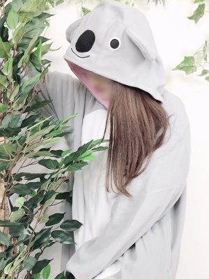 コアラ