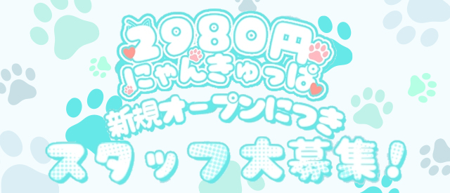 2980円 にゃんきゅっぱ