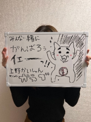 かえで